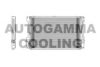 AUTOGAMMA 102831 Condenser, air conditioning